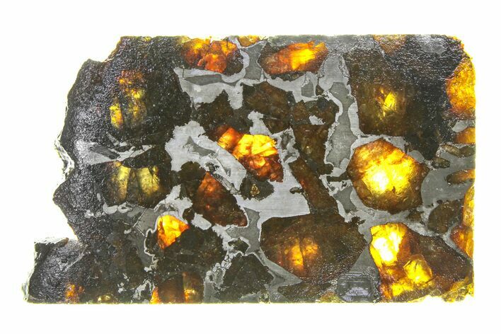 Brahin Pallasite Meteorite ( g) Slice - Belarus #294813